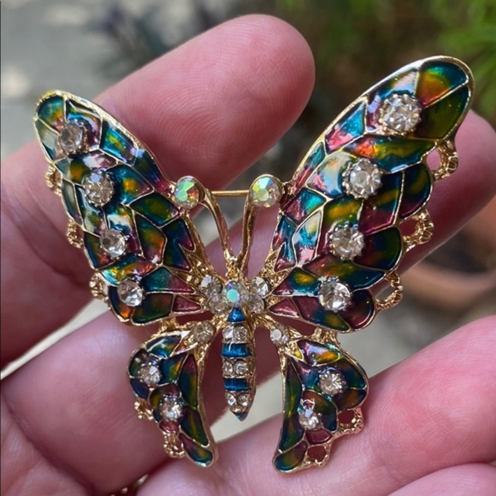 Colorful Butterfly Brooch